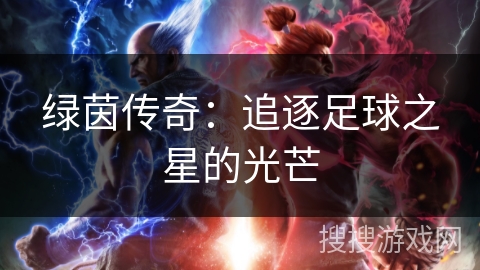 绿茵传奇:追逐足球之星的光芒 绿茵传奇:追逐足球之星的光芒