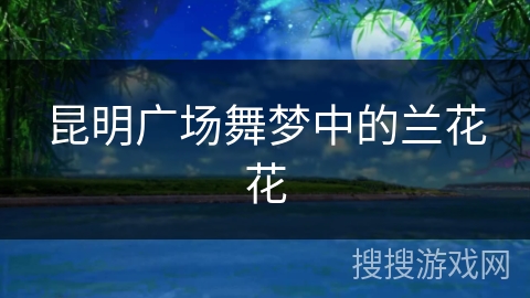 昆明广场舞梦中的兰花花