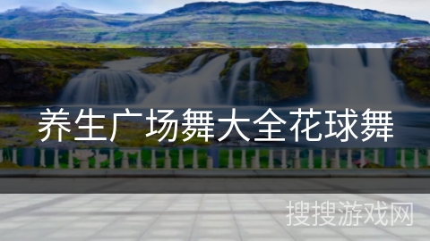 养生广场舞大全花球舞