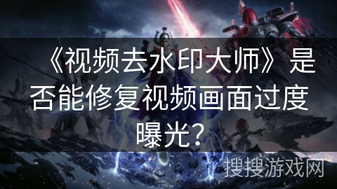 《视频去水印大师》是否能修复视频画面过度曝光？