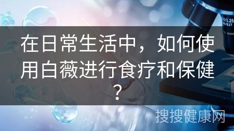 在日常生活中，如何使用白薇进行食疗和保健？