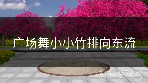 广场舞小小竹排向东流