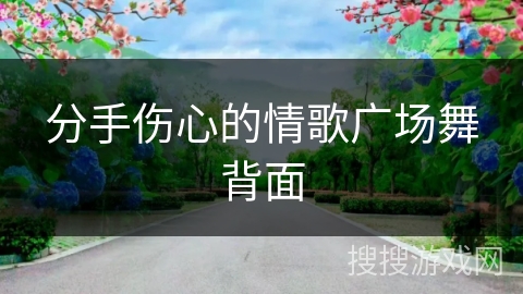 分手伤心的情歌广场舞背面