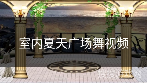 室内夏天广场舞视频