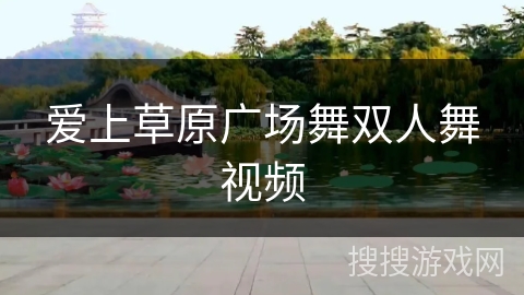 爱上草原广场舞双人舞视频