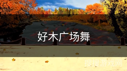 好木广场舞