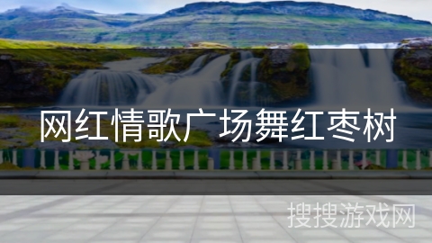 网红情歌广场舞红枣树