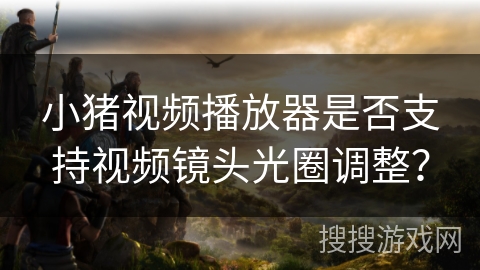小猪视频播放器是否支持视频镜头光圈调整？