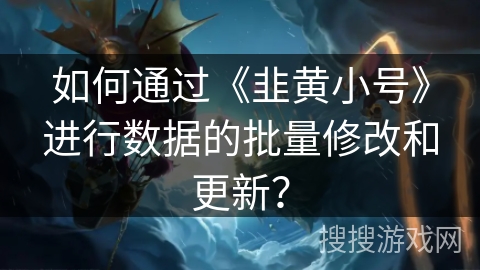如何通过《韭黄小号》进行数据的批量修改和更新？