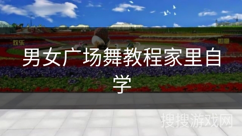 男女广场舞教程家里自学