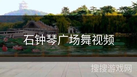 石钟琴广场舞视频