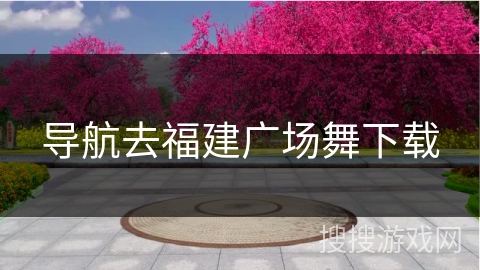 导航去福建广场舞下载