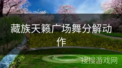 藏族天籁广场舞分解动作