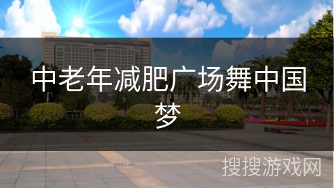 中老年减肥广场舞中国梦