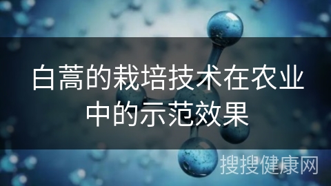 白蒿的栽培技术在农业中的示范效果