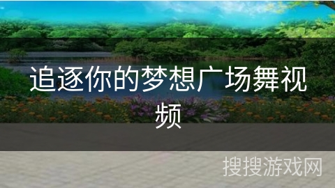 追逐你的梦想广场舞视频