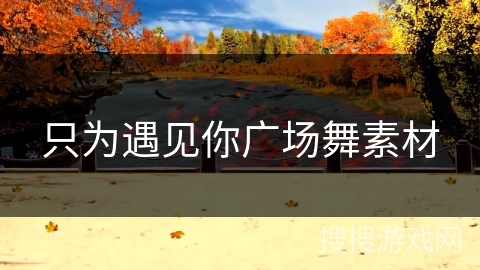 只为遇见你广场舞素材