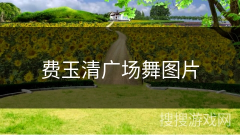 费玉清广场舞图片