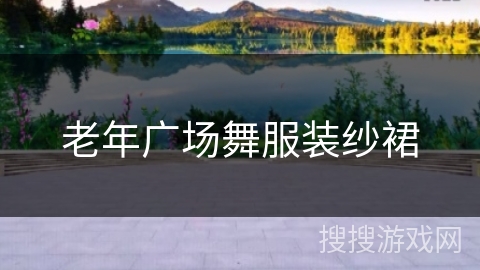 老年广场舞服装纱裙