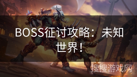 BOSS征讨攻略：未知世界！