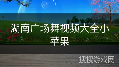 湖南广场舞视频大全小苹果