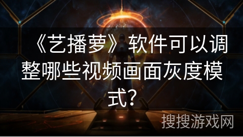 《艺播萝》软件可以调整哪些视频画面灰度模式？