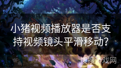 小猪视频播放器是否支持视频镜头平滑移动? 小猪视频播放器是否支持视频镜头平滑移动?