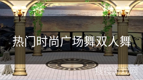 热门时尚广场舞双人舞