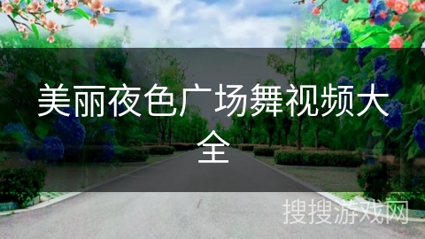 美丽夜色广场舞视频大全