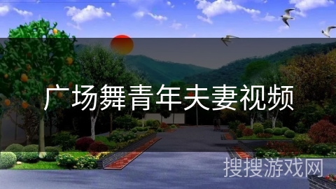 广场舞青年夫妻视频