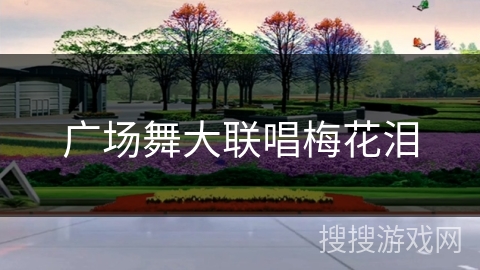 广场舞大联唱梅花泪 广场舞大联唱梅花泪