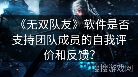 《无双队友》软件是否支持团队成员的自我评价和反馈? 《无双队友》软件是否支持团队成员的自我评价和反馈?