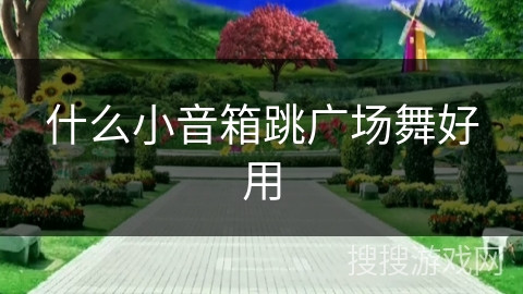 什么小音箱跳广场舞好用