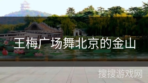 王梅广场舞北京的金山