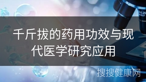 千斤拔的药用功效与现代医学研究应用