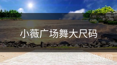 小薇广场舞大尺码