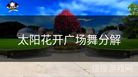 太阳花开广场舞分解