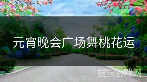 元宵晚会广场舞桃花运