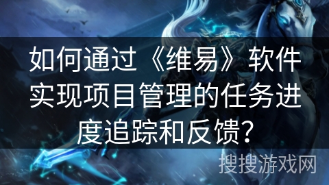 如何通过《维易》软件实现项目管理的任务进度追踪和反馈？