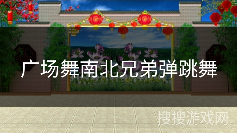 广场舞南北兄弟弹跳舞