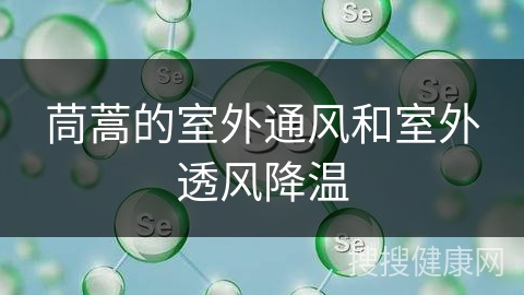 茼蒿的室外通风和室外透风降温