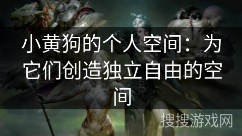 小黄狗的个人空间：为它们创造独立自由的空间