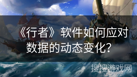 《行者》软件如何应对数据的动态变化？