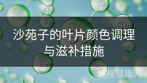 沙苑子的叶片颜色调理与滋补措施