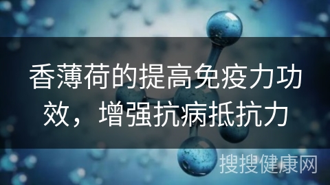 香薄荷的提高免疫力功效，增强抗病抵抗力