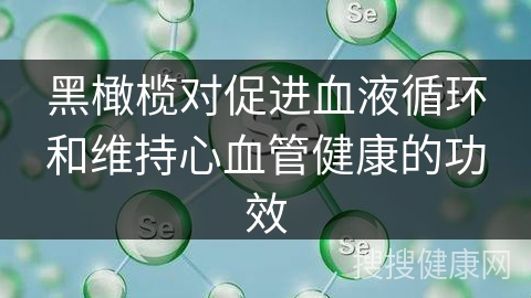 黑橄榄对促进血液循环和维持心血管健康的功效