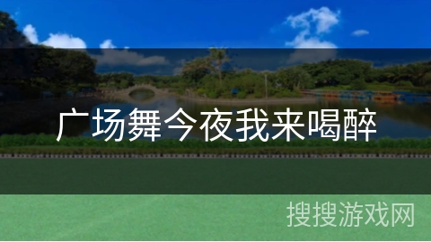 广场舞今夜我来喝醉