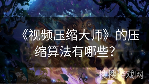 《视频压缩大师》的压缩算法有哪些？
