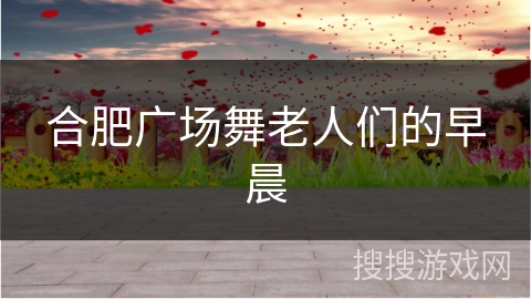 合肥广场舞老人们的早晨