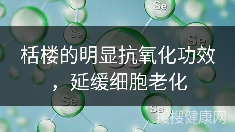 栝楼的明显抗氧化功效，延缓细胞老化